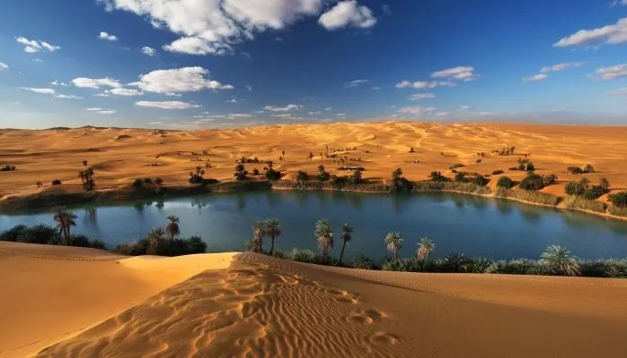 السياحة الطبية في مصر